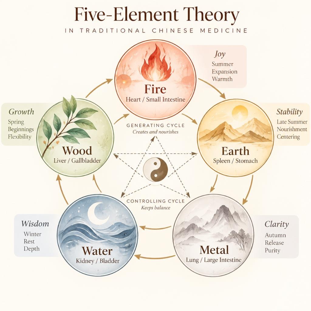 Five-Element Theory in Traditional Chinese Medicine — Fire, Earth, Metal, Water, Wood with generating and controlling cycles