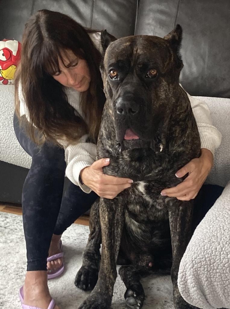 Animal massage therapy