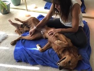 Reiki energy healing